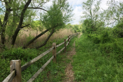 Nature-Trail5